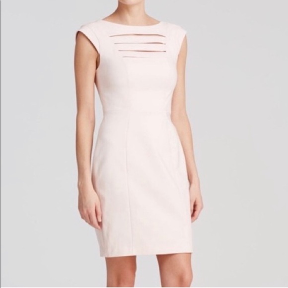 NWT French Connection Light Pink Bar Sheath Dress - Picture 6 of 7